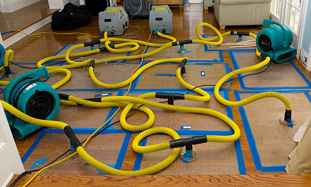 Professional Structural Drying And Dehumidification technician working in Kimberly, WV